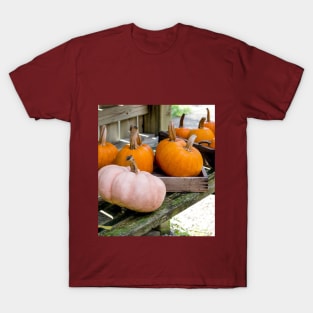 Halloween pumpkins in the potting shed T-Shirt